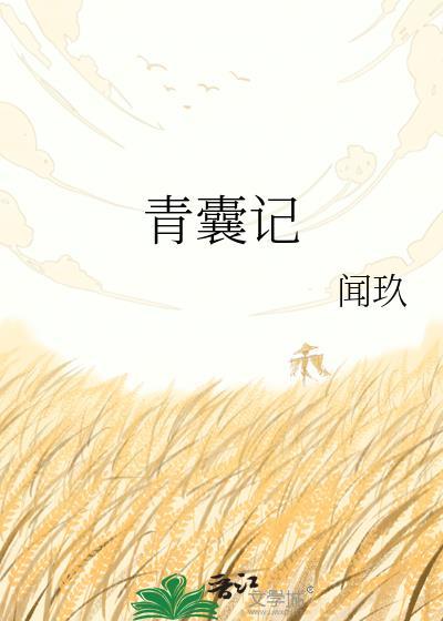 青囊记