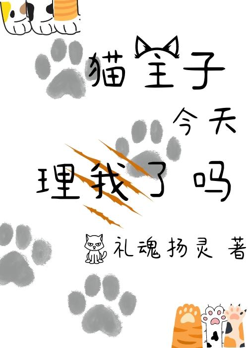 猫主子今天理我了吗