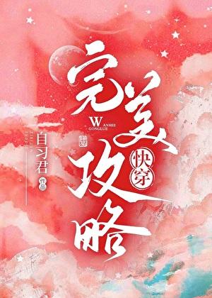 完美攻略