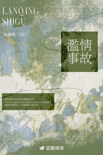 滥情事故