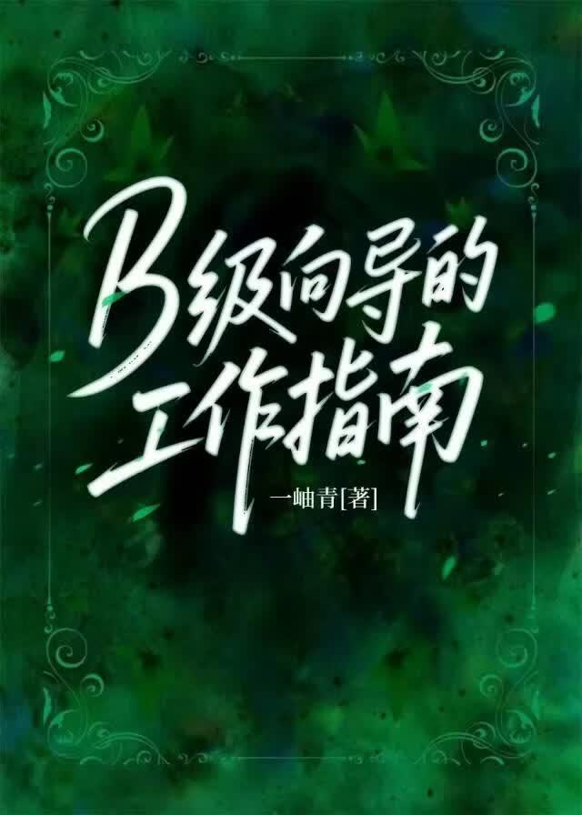 B级向导的工作指南